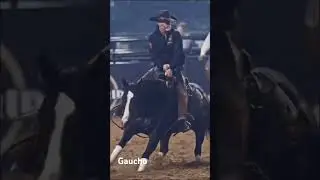Ковбой в деле