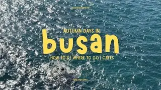 autumn days in busan | south korea vlog | how to get to busan, cafes, chill itinerary, slow travel