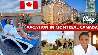 VACATION IN MONTREAL QUEBEC CANADA 🇨🇦🇨🇦 | 💃| ZOO VISIT |  LIVING IN CANADA🇨🇦 |MONTREAL 2021