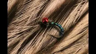Tying a Rainbow Midge with Martyn White (nymph)