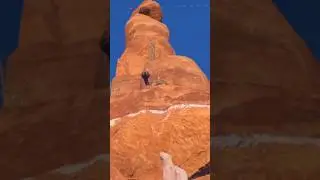 SCARED into pro climber mode by rattlesnake on the climb 2 oculus quest 2 vr!