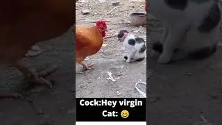 Funny Animals Jokes 2022 | Fun Unlimited #1