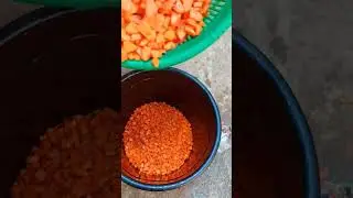 Omasis Carrot Pap