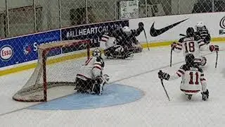 Para ice hockey! Team Canada goalie..