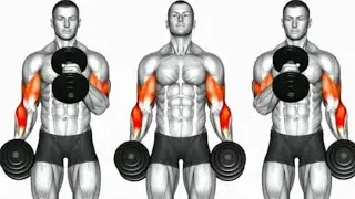 🏋️ Build Strong Biceps at Home &ndash; 6 Powerful Exercises|