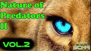 Nature of Predators - Book 2 - Volume 2 | HFY | Series