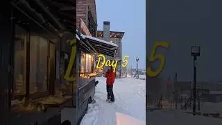 Day 5 - Beginner Skiing in Niseko