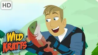 Wild Kratts |Hero Has Her Babies |Salmon
