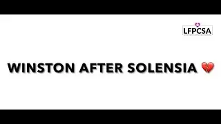 Solensia Experiences - Winston