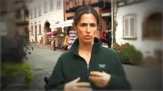 Juliette Pope, Sommelier of Gramercy Tavern Restaurant in New York City, on Alsace