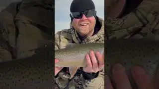 Fish on BABY 💯 #icefishing #fishing #fish #colorado #camping #trout #outdoors #icefishingtrout
