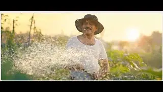 Alliance Finance Corporate TV Commercial - Niks Moving Images