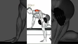 Best Dumbbell Exercises for Building Muscle At Home