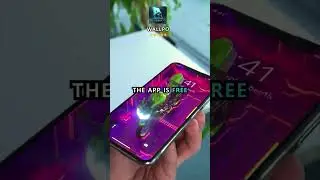 Wallpo: live/3D/4K wallpapers for you phone