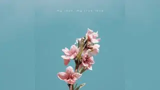 My Love, My True Love (Reimagined)