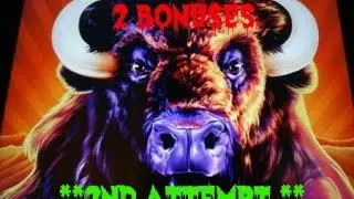 (2nd Attempt)  Aristocrat - Buffalo Stampede : 2 Bonuses