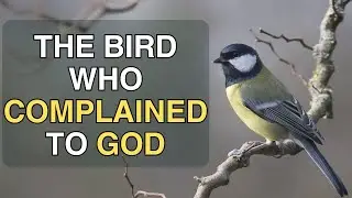 THE BIRD WHO COMPLAINED TO GOD - MINDFUL STORIES