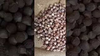 Aritha Soap Nut Ritha | Available on IndiaMART