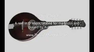 The Silver Spear - a reel in D Major tabbed for mandolin and played by Aidan Crossey