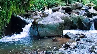 Calm River Sounds for Sleep Meditation