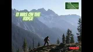 Bigfoot Sightings That Will Shock You!