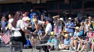 Vashon Island Strawberry Festival 2019: Thriftway Shopping Car Team