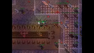 The Order of the Lion