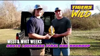 West & Whit Weeks Hog Hunt to Remember! | TIGERS IN THE WILD