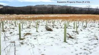 7007 MARIAH FURNACE RD, BOONSBORO, MD  21713
