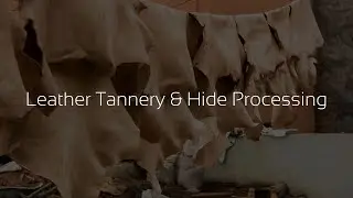 Leather & Tanning Industry