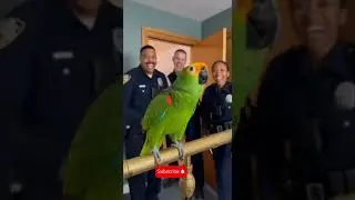 So smart parrot