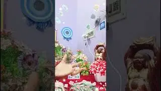 তোমার প্রিয় মানুষের মনে মধ্যে তুমি❤️❤️❤️#viralvideo#11:11