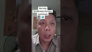 Our platform Passport Turtles is to help struggling smallholder farmers across the globe. 🐢