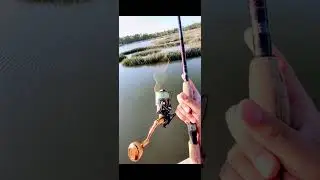 True Braid Fishing Line