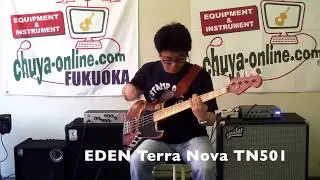 ベースアンプ弾き比べ！EDEN Terra Nova TN501 ＆ AGUILAR TONE HAMMER 500