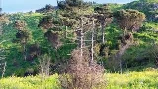 La terra dei feaci e monte tiriolo!