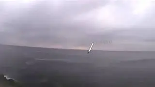 Cobras and Dolphins - CM2204 1960KV