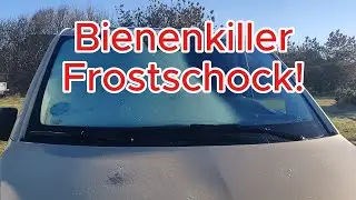 Bienenkiller Frostschock!! Schwacher Start ins Bienenjahr? Anfängerfehler und schlimme Folgen