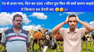 1 गाय से शुरू आज 70 गाय 400+ लीटर दूध फिर भी करना चाहते डेयरी बंद😲 #chhattisgarhfarmer #dairy 