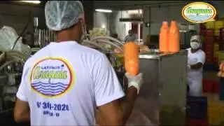 Araguaia Laticínios
