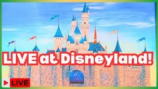 🔴 #livestream at #disney! #disneymerch updates and Pin Trading! #disneyparks