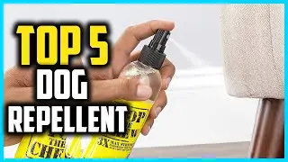 ✅Top 5 Best Dog Repellent Spray in 2024 Reviews
