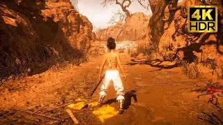 Two Chivalrous Heroes Full Walkthrough | Wo Long Fallen Dynasty | 4K HDR Gameplay