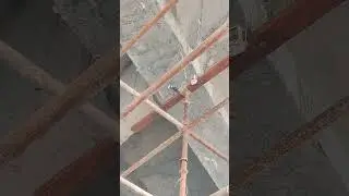 load test for major bridge