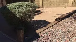 114 Rancho Circle move in video