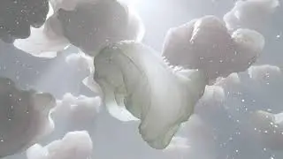 Euphoria - Dreamy & Surreal Ambient Visual & Mix That Feels Like Floating Into the Night Sky
