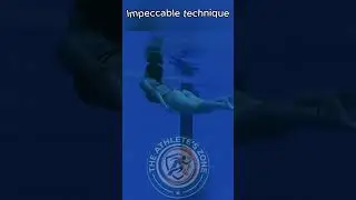 Impeccable Diving Technique (Slow Motion) 🦢✨