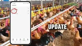 Feed Inventory