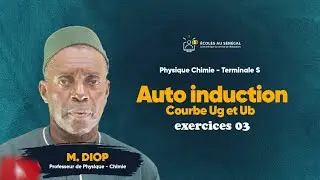 Exercices - Terminale S2 - PC : Physique / l'Auto-Induction - Etude d'un dipôle RL / Suite 2/M. Diop