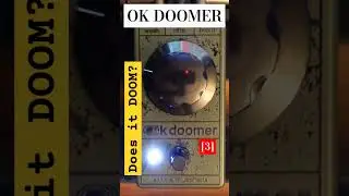 OK DOOMER by Audio Surplus Effects #shorts #okdoomer #audiosurpluseffects #guitarpedals #fuzz #doom